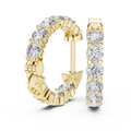 Vaelisse Frame Earrings